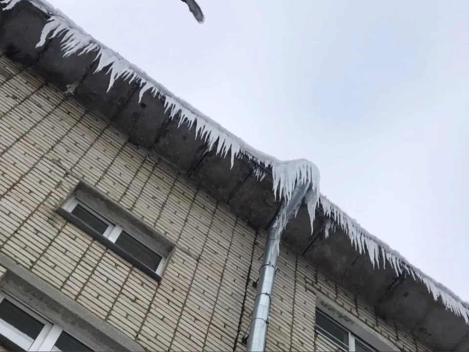 Жители жалуются на коммунальщиков. Фото: "Патруль Тольятти"