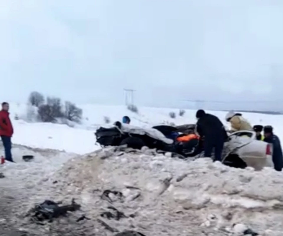 Два взрослых и один несовершеннолетний погибли в ДТП с грузовиком в Нижегородской области