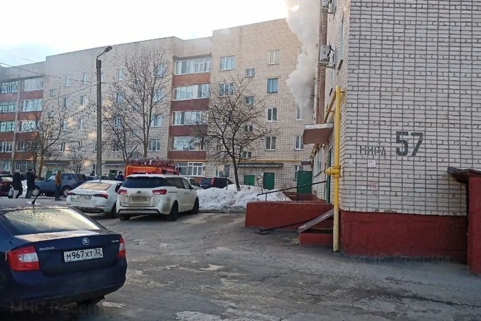 Фото: пресс-служба ГУ МЧС России по Брянской области.