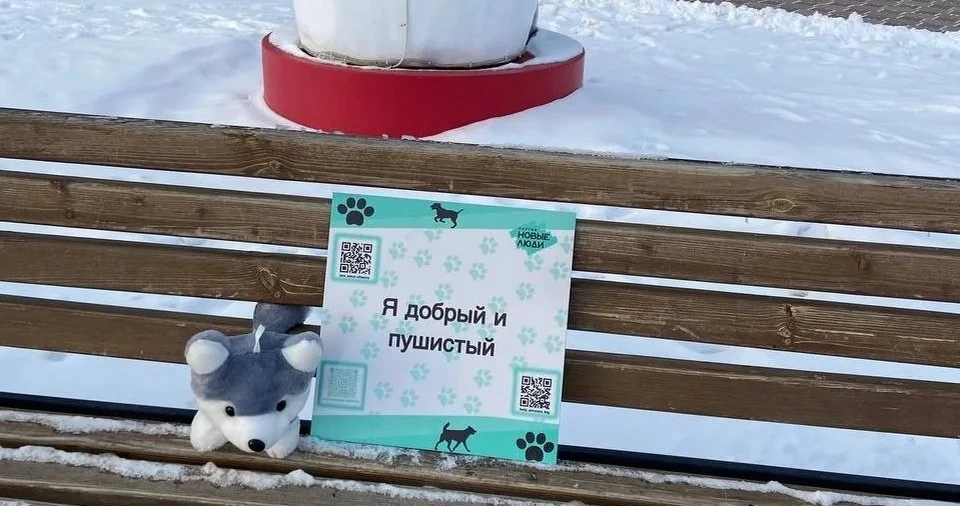 Фото: соцсети