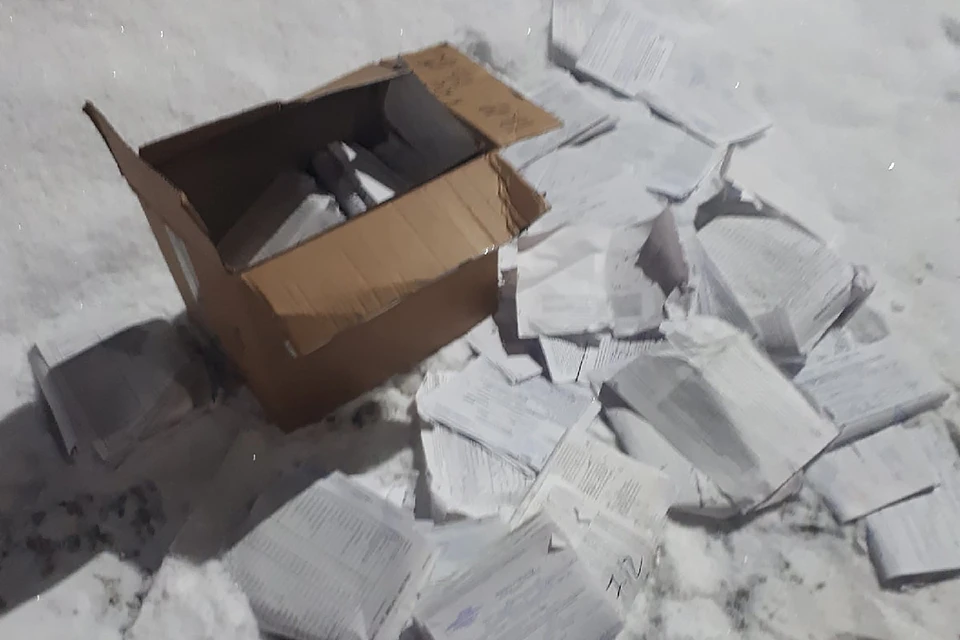 Прокуратура проверяет сообщение о том, что в Коле в снегу на улице нашли коробку с медицинскими картами. Фото: Наталья Алексеева