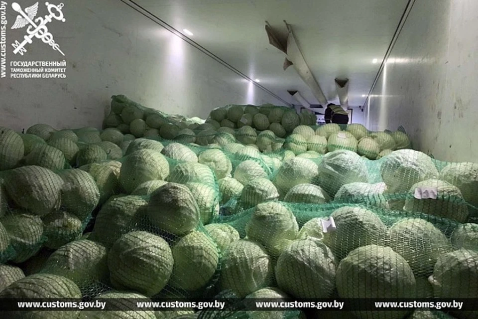 Белорусские таможенники пресекли незаконный вывоз капусты и сахара из страны. Фото: customs.gov.by