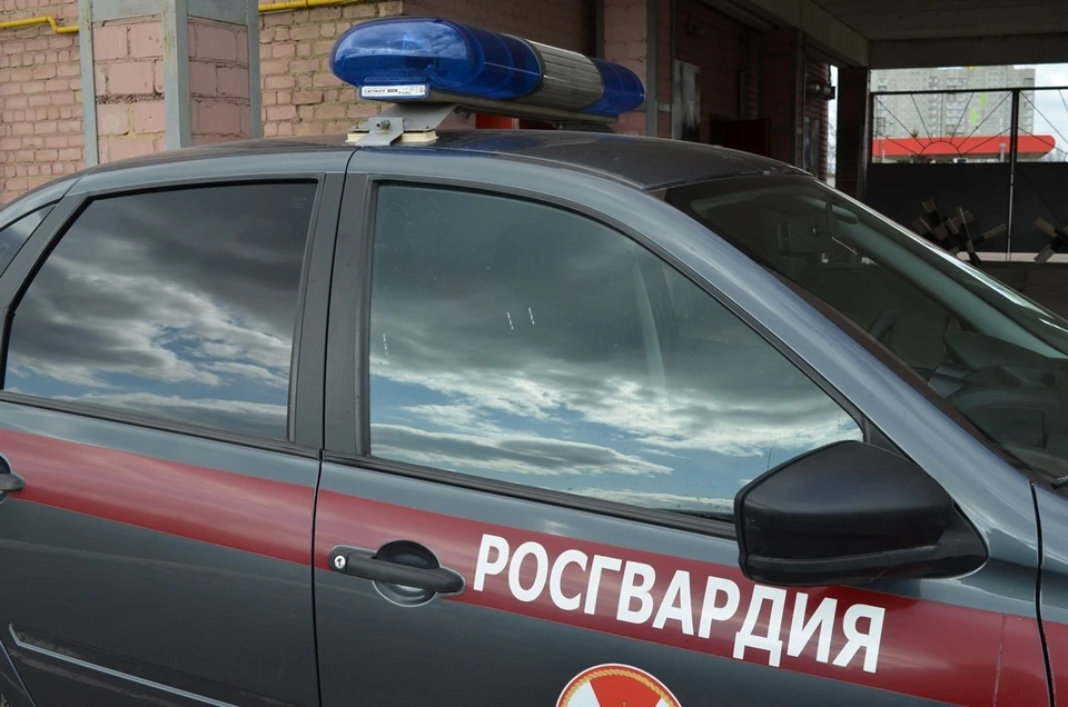 Силовики задержали в супермаркетах хулигана и похитителей товара