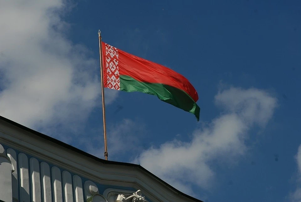 ЦИК Белоруссии: "За" поправки в конституцию республики проголосовали 65,16% граждан