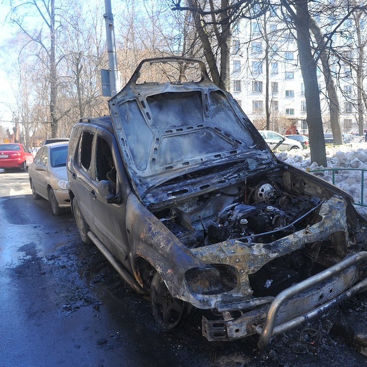 В Приморье бизнесвумен стала жертвой пироманов - KP.RU