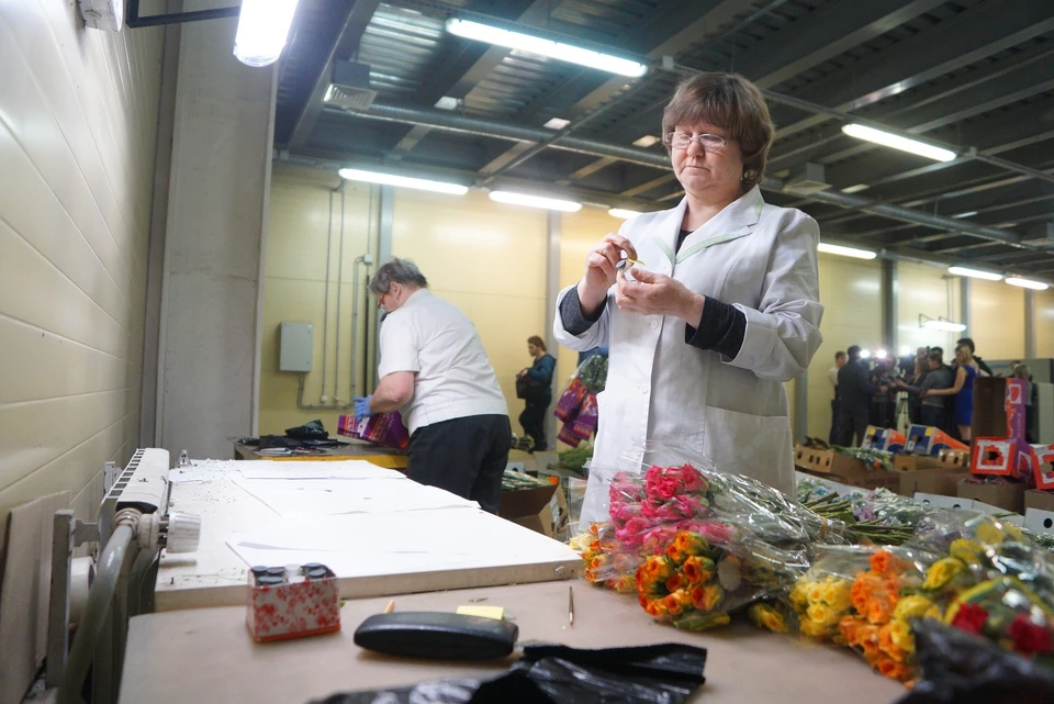 Большой объем цветов идет в Екатеринбург через Белоруссию