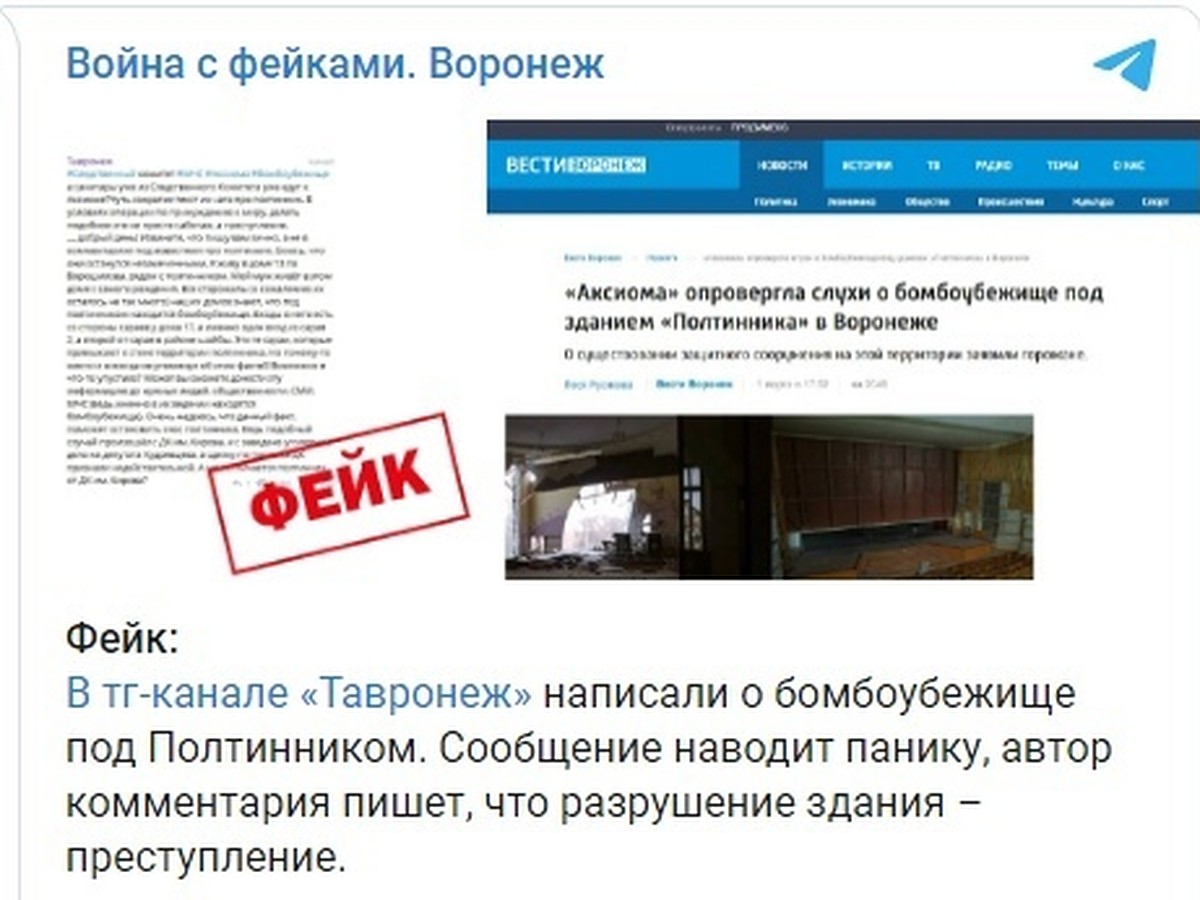 Воронежские власти сообщили о новом Телеграм-канале для борьбы с фейками -  KP.RU