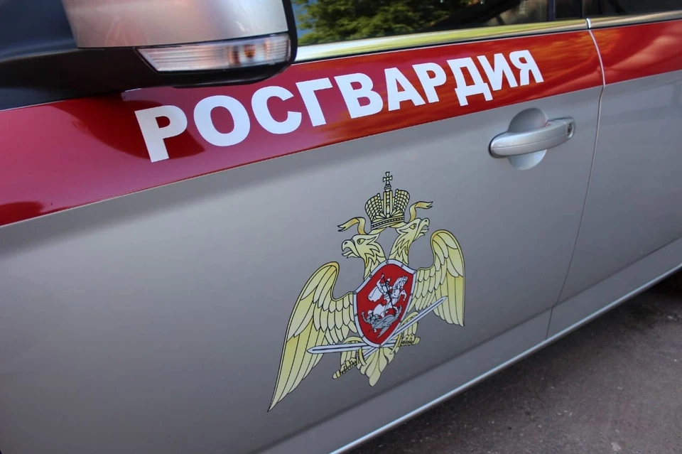 Задержанные были переданы сотрудникам полиции для дальнейшего разбирательства.