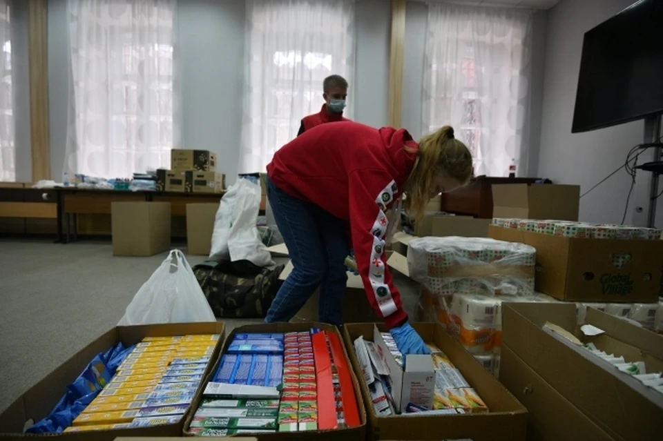 Ростовчанку затравили в сети из-за гуманитарной помощи многодетной семья из ДНР