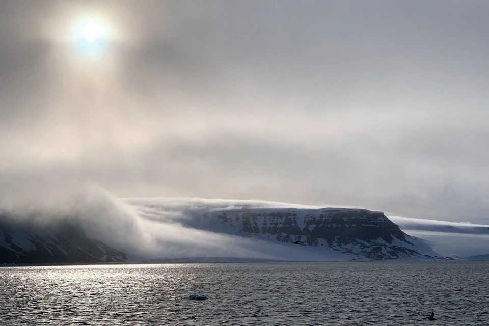 Летом 2022 состоятся две экспедиции Арктического плавучего университета. Объявлен конкурс для желающих в них участвовать