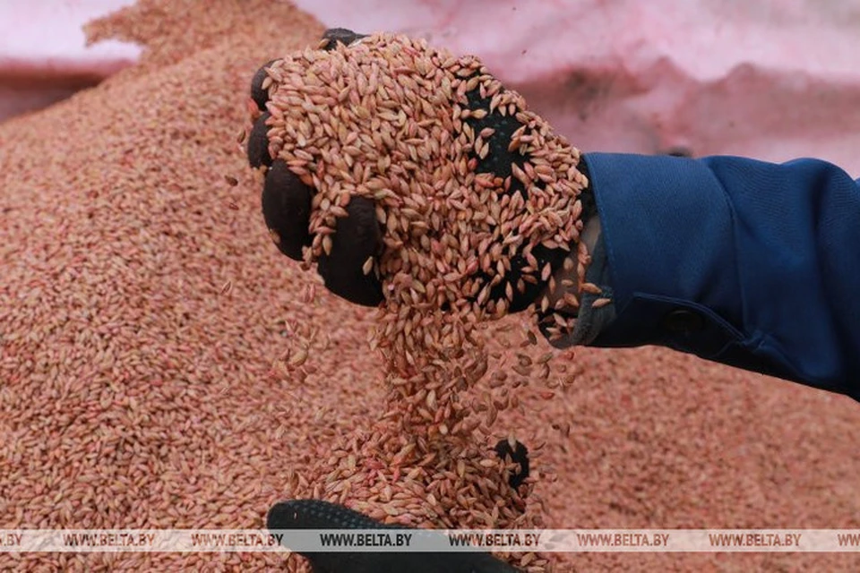В Беларуси вводится запрет на вывоз продуктов зернопереработки и отдельных видов промышленных товаров. Фото: БелТА