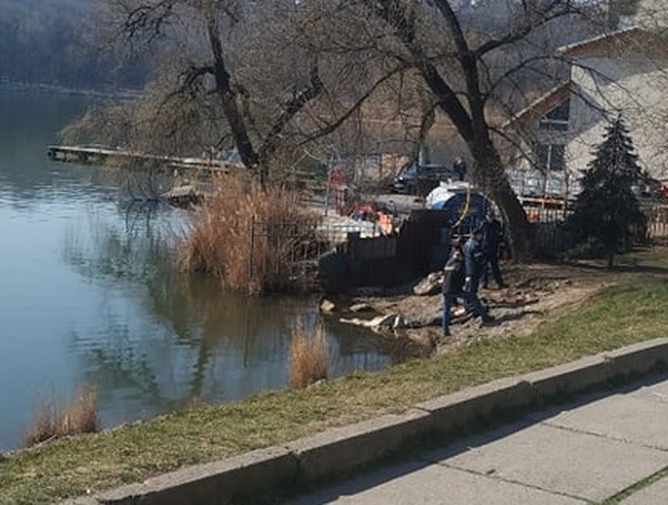 В саратовской пятерочке среди овощей лежал мертвый мужчина фото