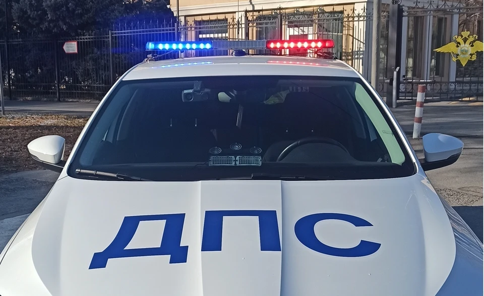 Фото:ГУ МВД России по Волгоградской области