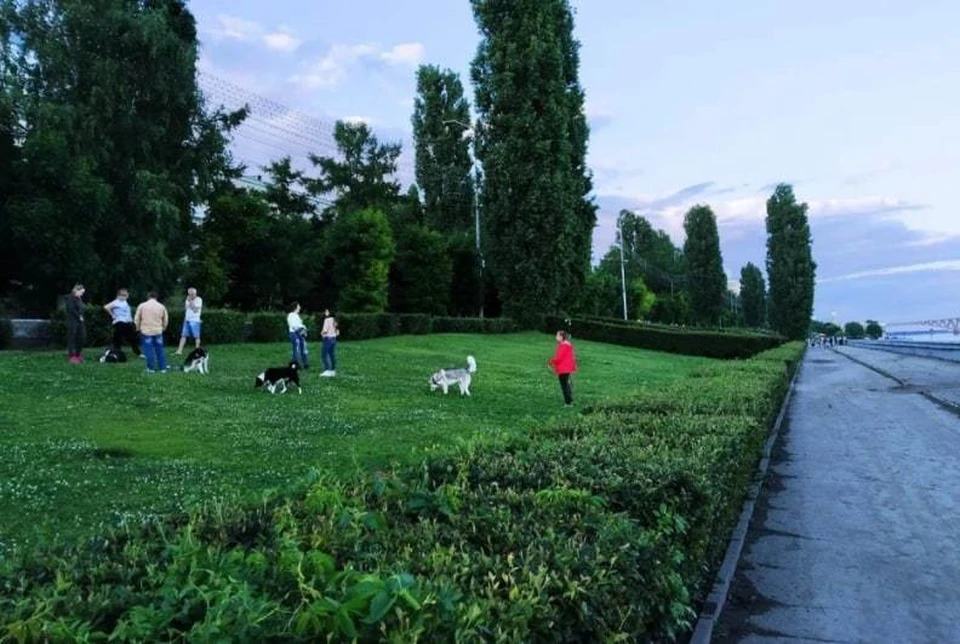Пока в Саратове не так тепло
