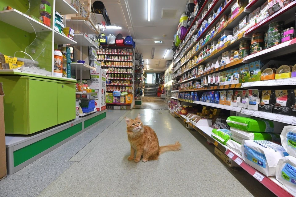 Цена на корма поднялась в несколько раз.