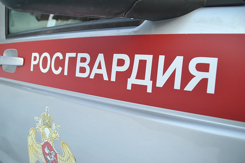 Росгвардейцы обнаружили разыскиваемое транспортное средство на улице Мостовой. Фото: 43.rosguard.gov.ru