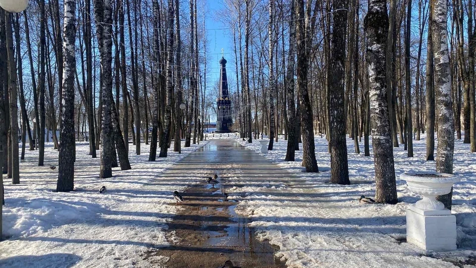 В Смоленской области объявили «желтый» уровень погодной опасности.