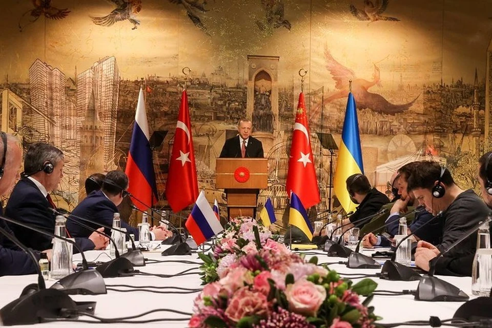 Эрдоган заявил о необходимости результата перед переговорами Москвы и Киева в Стамбуле. Фото: ТАСС