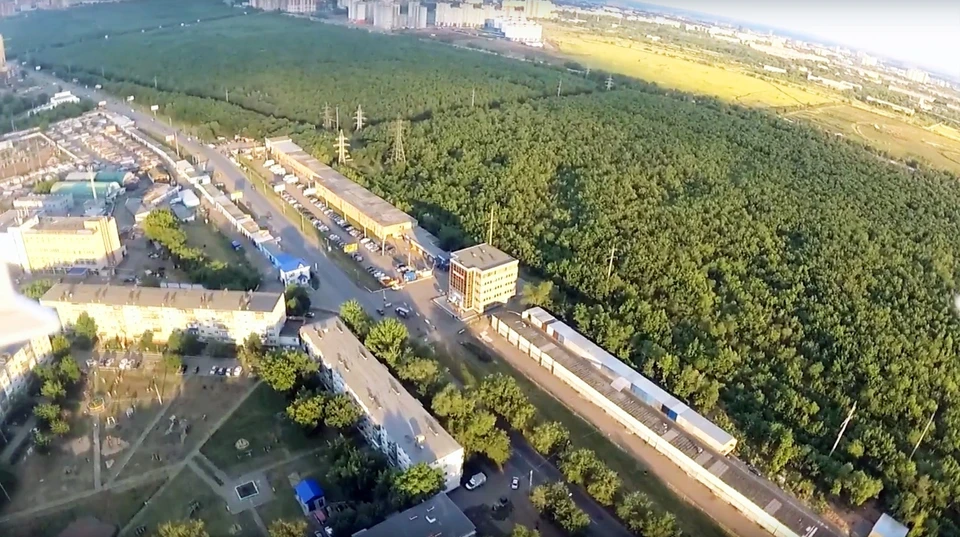 Какая организация займется облагораживанием парка "Березка" пока не известно Фото: Правительство Оренбургской области