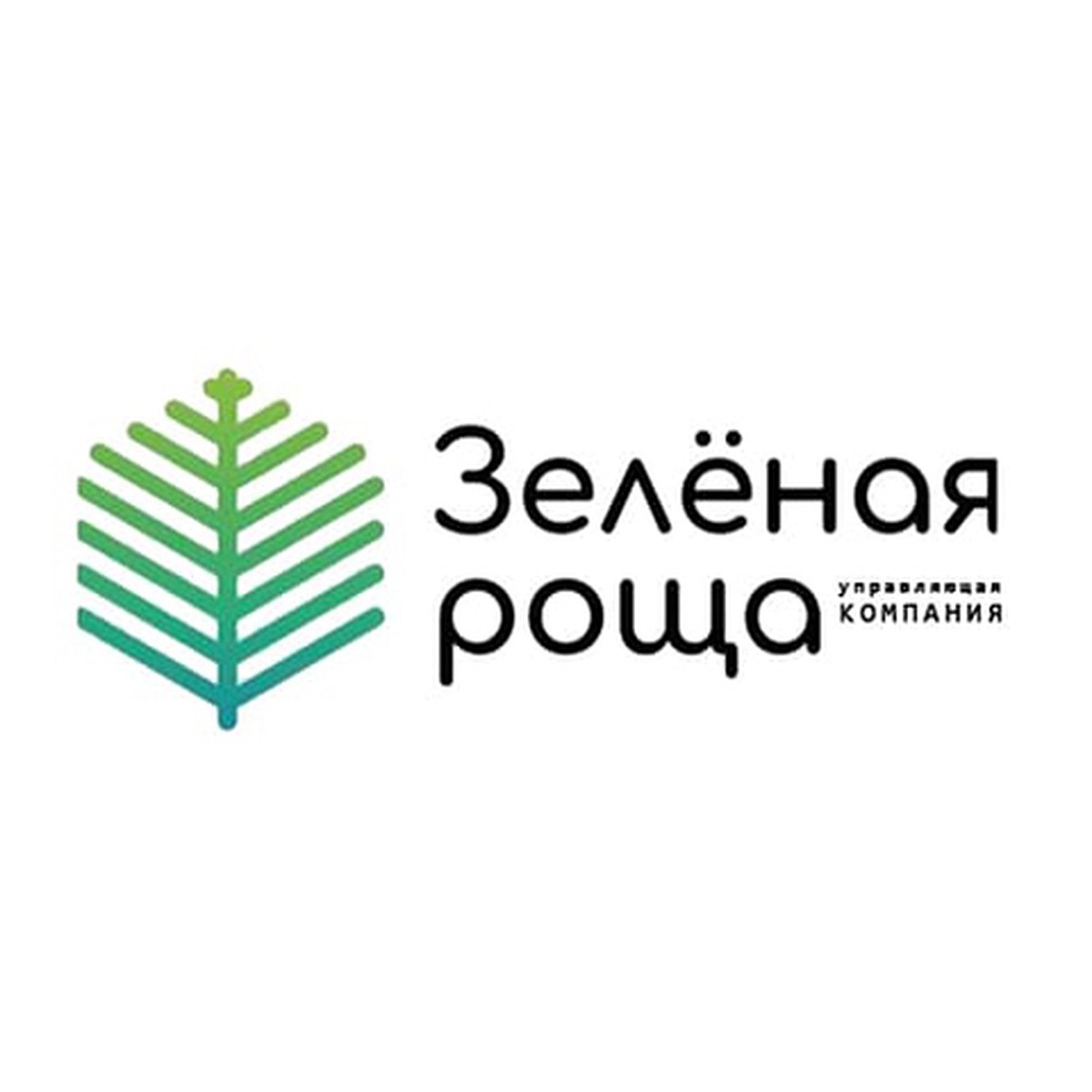 Комментарий регионального оператора УК «Зеленая Роща» к ситуации, связанной  с работой перевозчика твердых коммунальных отходов ООО «Экологистик» - KP.RU