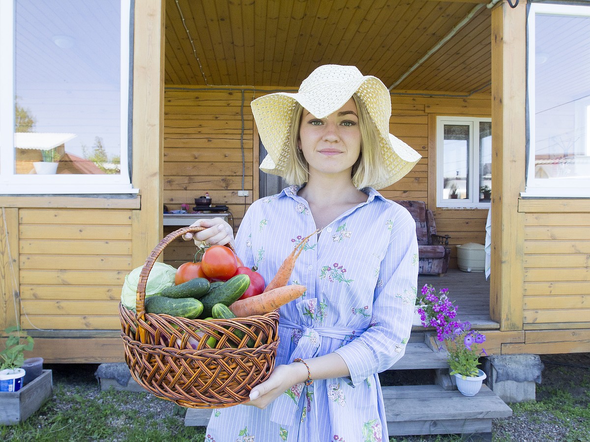 С капустой сложно, но можно: как рязанцам вырастить в огороде  «антикризисный» запас на год вперед - KP.RU