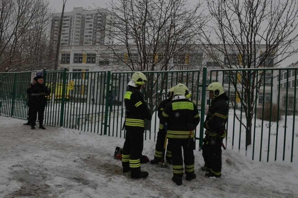 В отличие от традиционного способа размножения черенками микроклональное размножение дает рассаду более высокого качества, а ее объемы составляют до нескольких десятков тысяч растений.