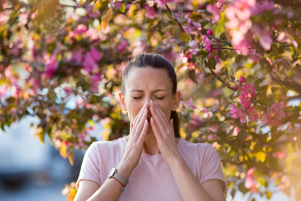 По статистике около 20% жителей нашей страны страдают от поллиноза или, говоря простым языком, аллергии на пыльцу.