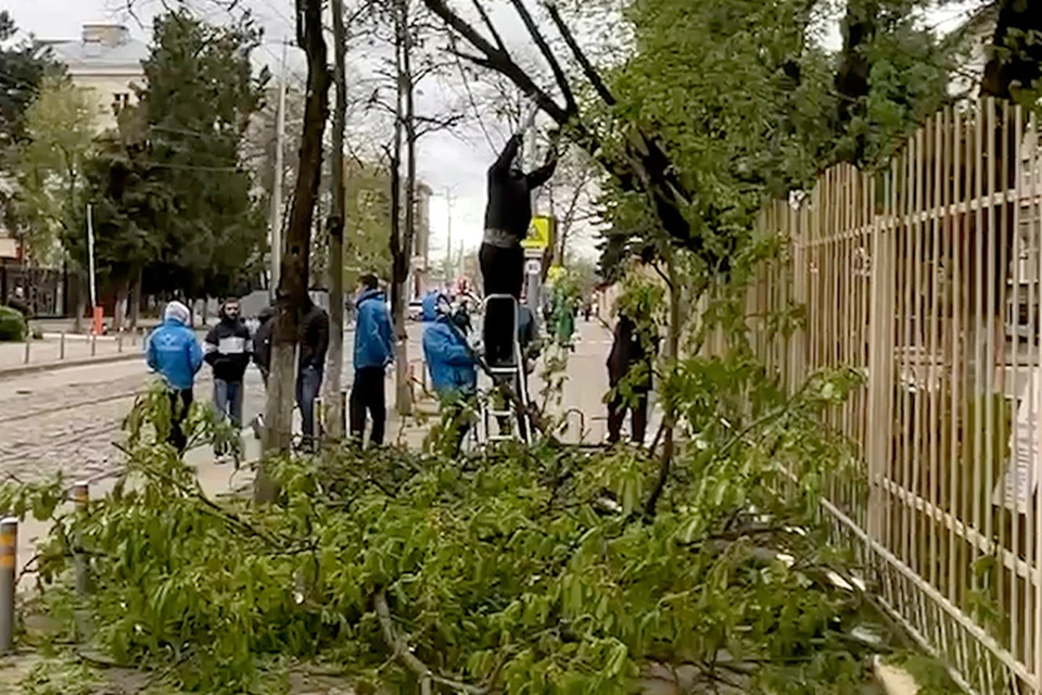 Ветром снесло дерево на улице Коммунаров