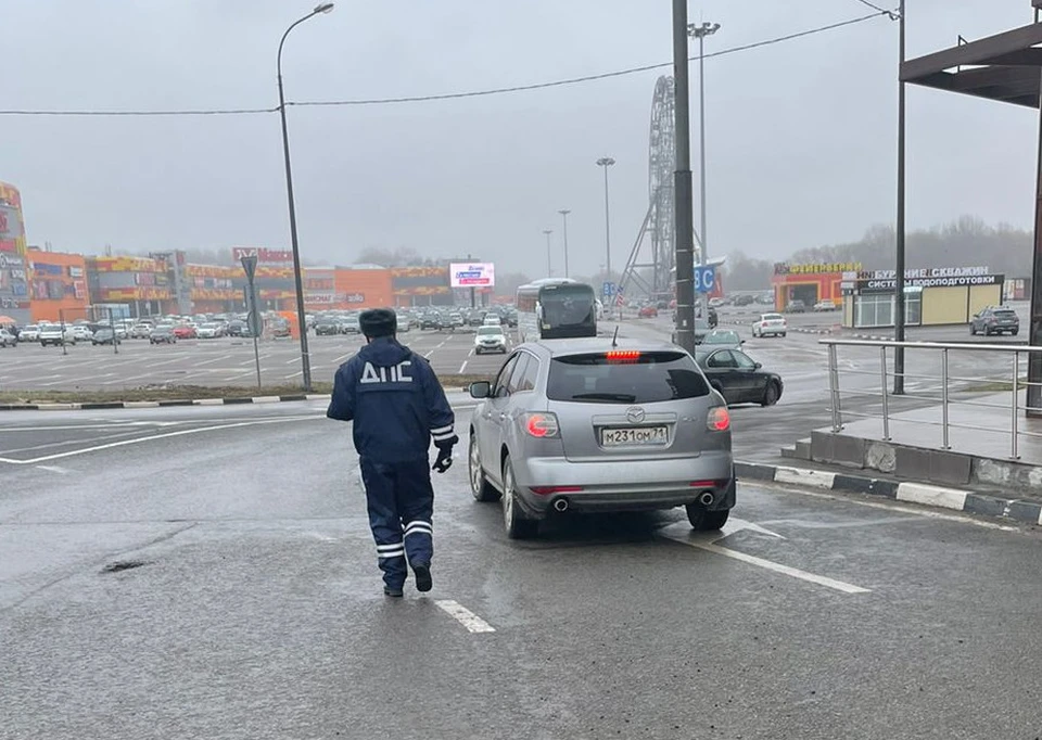 В Туле за неделю задержали 44 водителя, перевозивших детей с нарушениями
