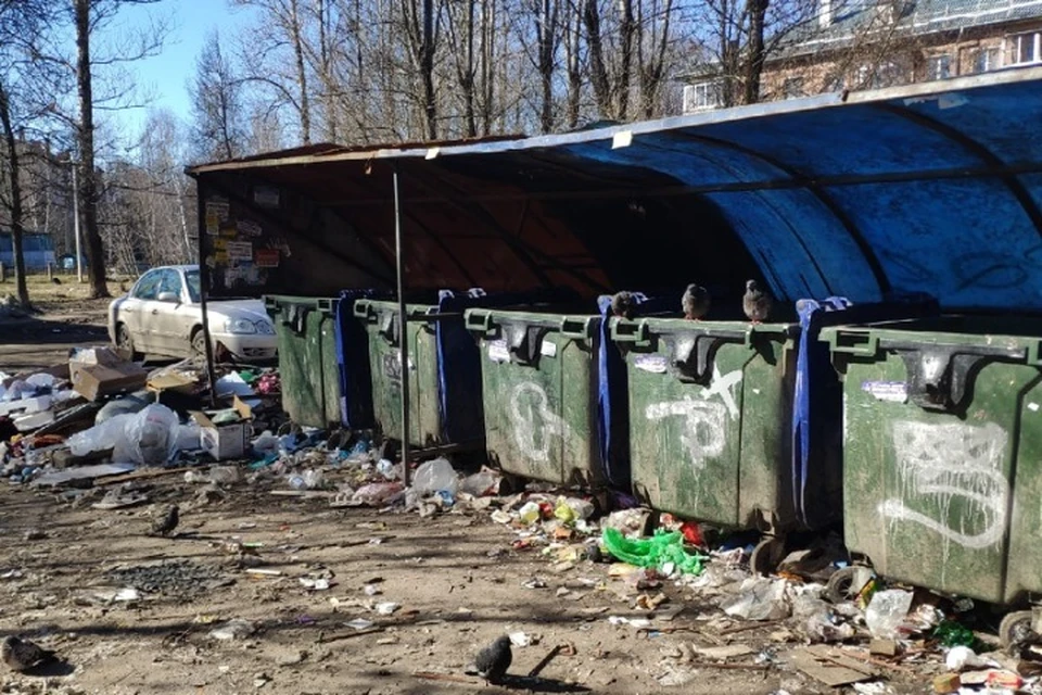 Так выглядят мусорные контейнеры у дома №24 на улице Жукова. Фото: группа "Свободный Ярославль"