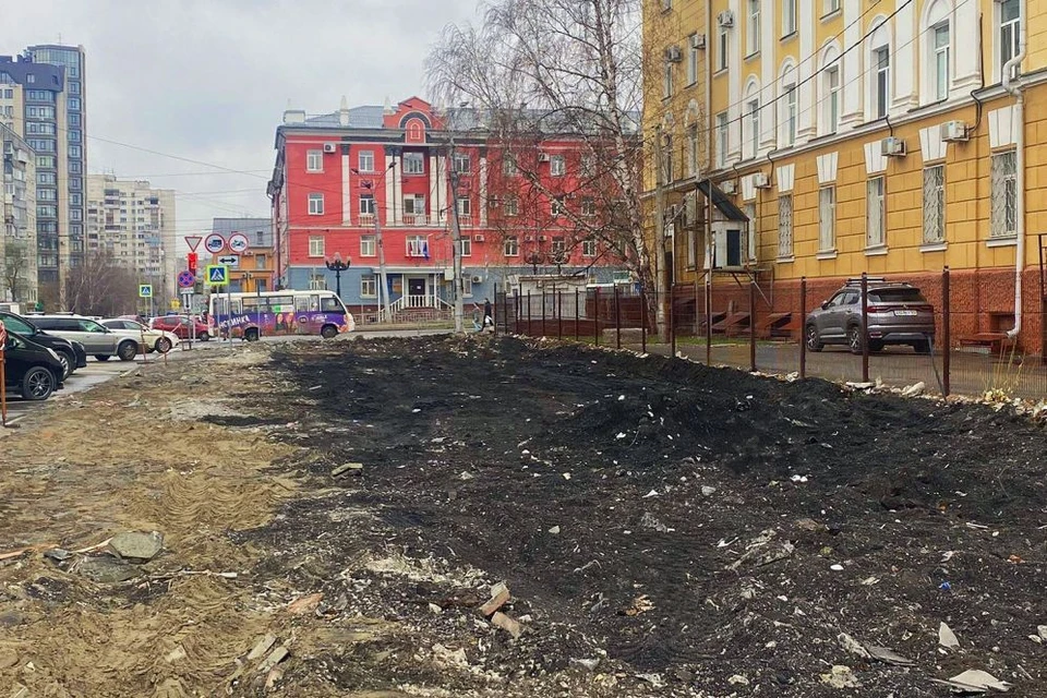 Зеленый уголок планирует обустроить ко Дню города