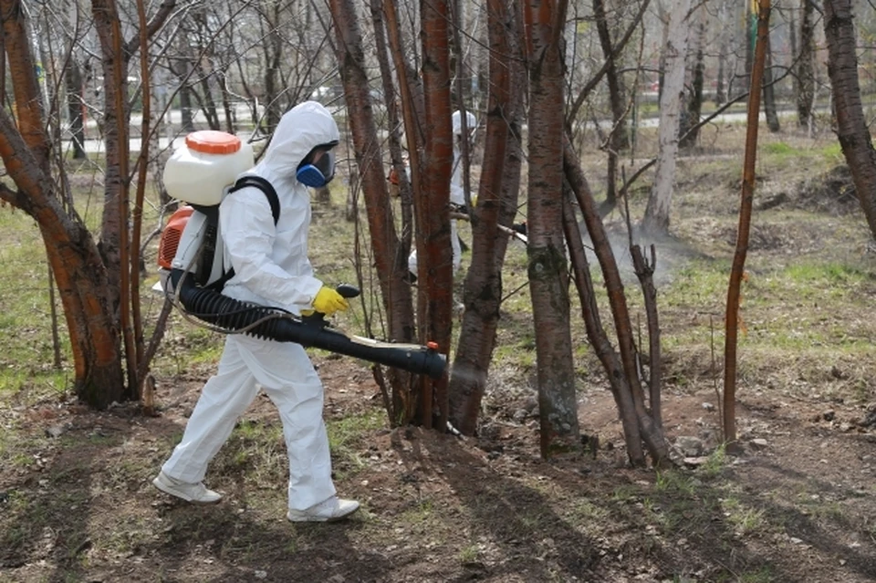 Акарицидные обработки в регионе запланировано провести на 790 гектарах земли.