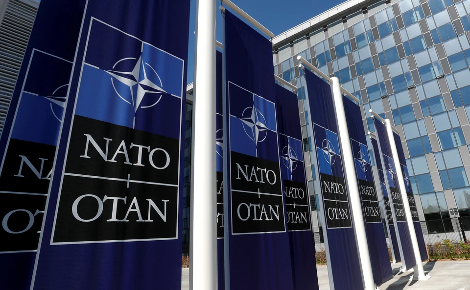 Политолог Шаповалов заявил, что НАТО пребывает в состоянии кризиса