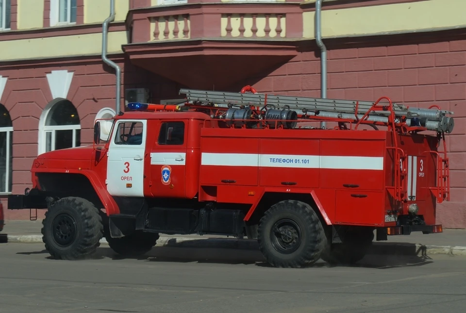 Фото: Ольга СУПОНЕВА