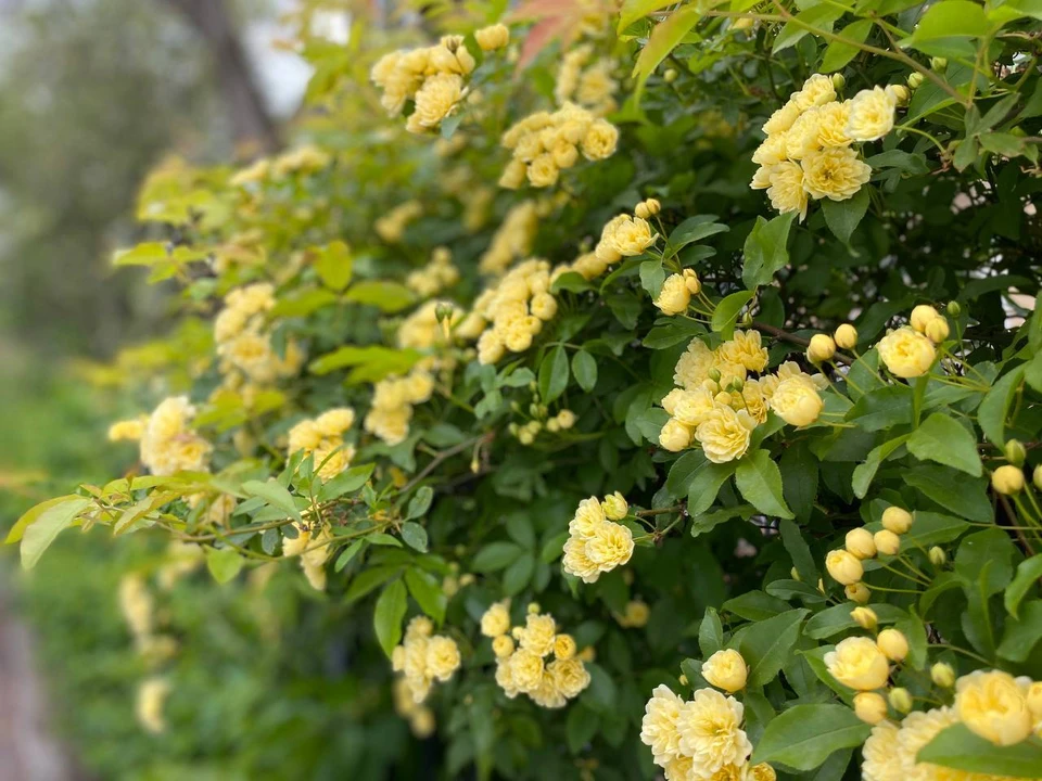 К обеду, возможно, распогодится.