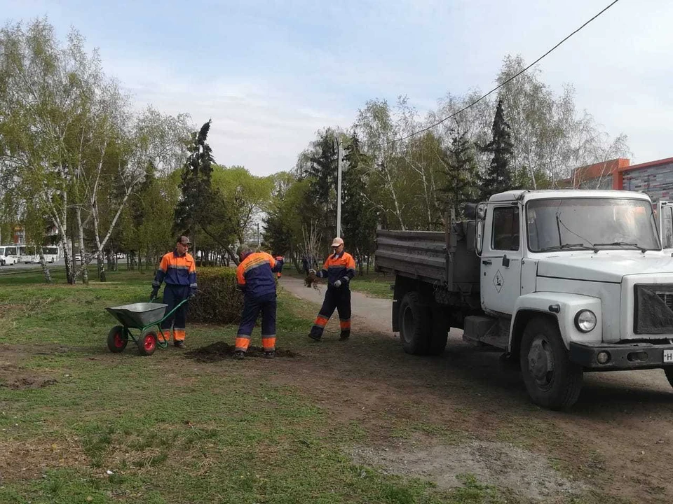 Озеленение городских территорий активно продолжают
