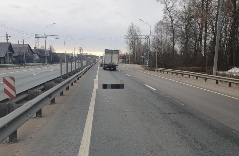 Пешеход погиб на трассе М-10 Фото: УГИБДД России по Тверской области