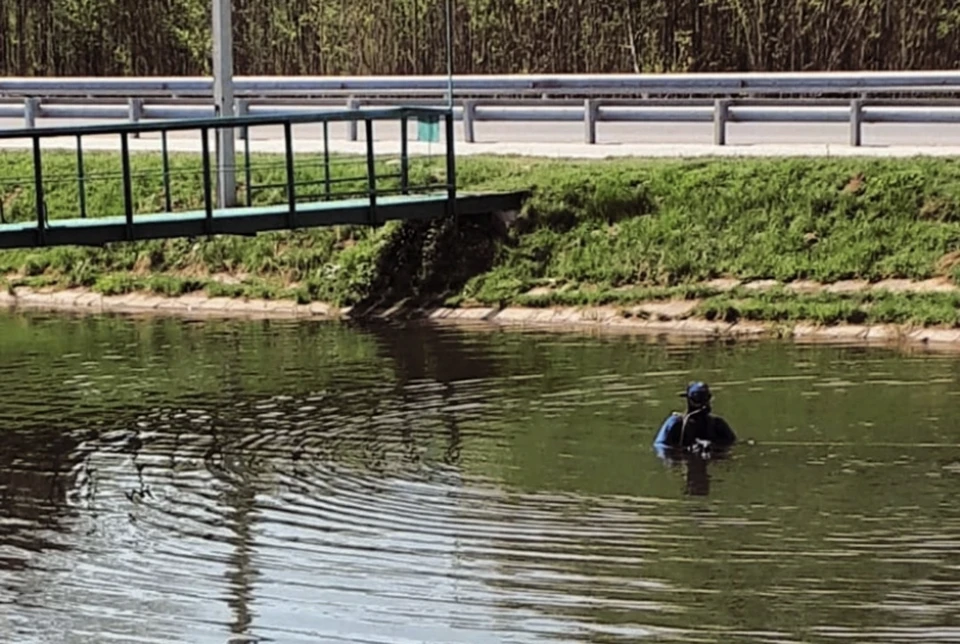 В Смоленске водолазы очищают озеро в парке «Соловьиная роща». Фото: СОГБУ «Пожарно-спасательный центр».