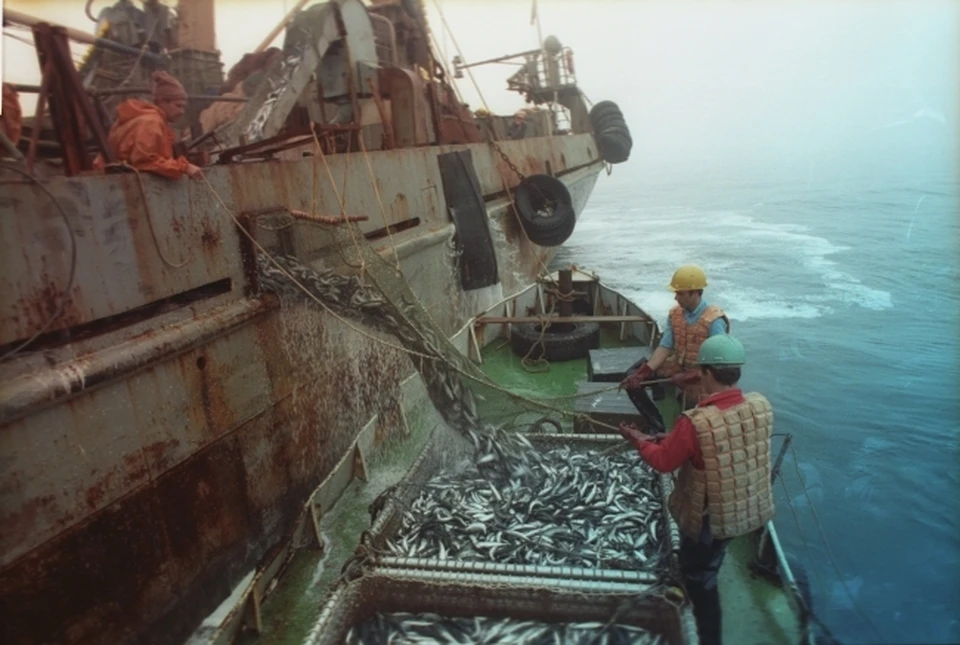«Убило натянутым тросом»: на сахалинском рыболовном стане погиб человек