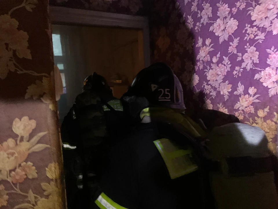 В Новомосковске из горящего дома спасли 3 человека