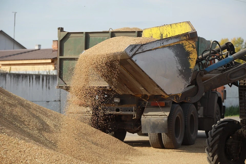 Многие страны зависят от российской и украинской сельскохозяйственной продукции