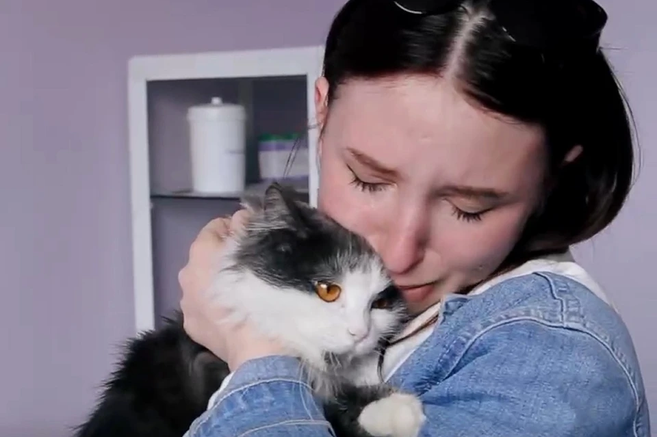 Наталья из Мариуполя нашла свою кошку Русю в Липецкой области
