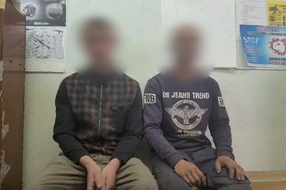 В Усть-Илимске мужчина увидел на соседнем участке брус и не смог удержаться