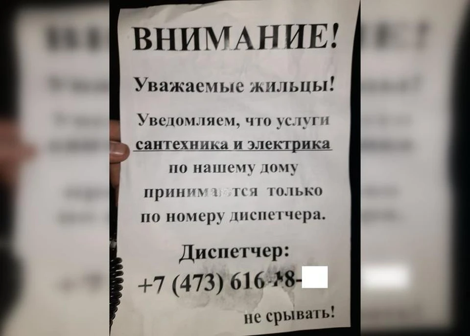 Такие объявления можно и нужно срывать. Фото: УК «Пик-комфорт».