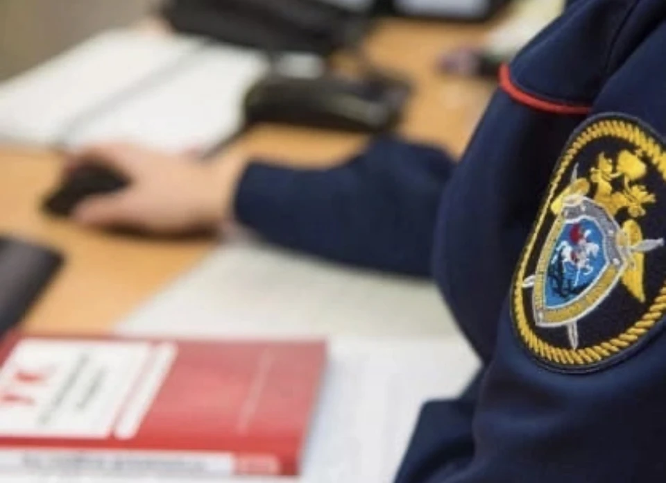 СК начал проверку после обнаружения тела пенсионерки в болоте в Смоленском районе. Фото: пресс-служба СУ СКР по Смоленской области.