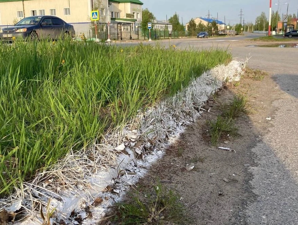 В одном из поселков Югры вместо установки бордюров покрасили траву Фото: паблик «ЧП Мегион» в соцсети «ВКонтакте»