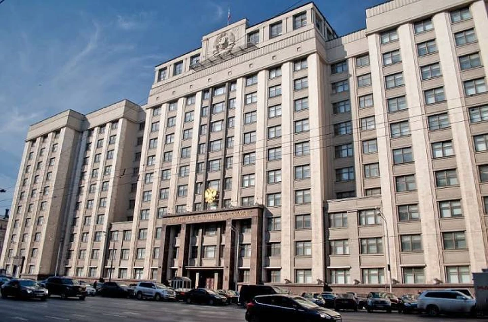 Государственная Дума РФ поддержала инициативы донских парламентариев. Фото: пресс-служба ЗС РО
