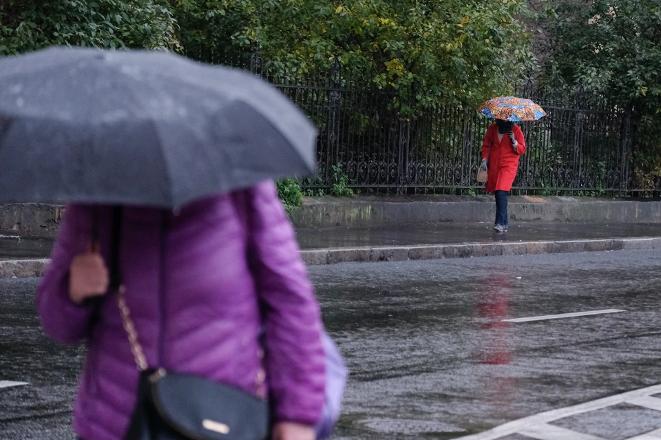 Прохладная и дождливая погода будет в Петербурге 28 мая