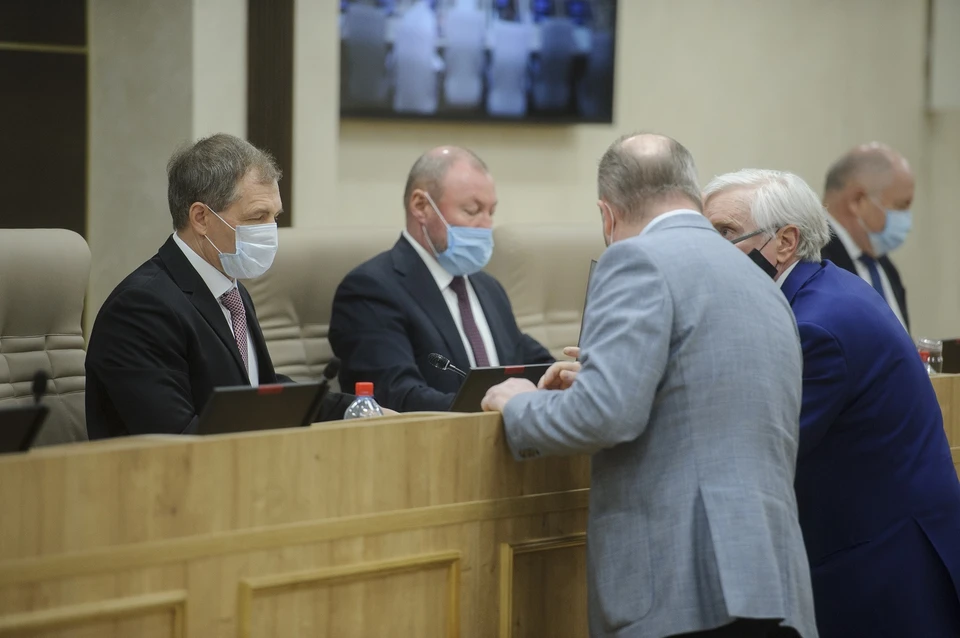 Депутаты Екатеринбургской городской думы отчитались о своих доходах