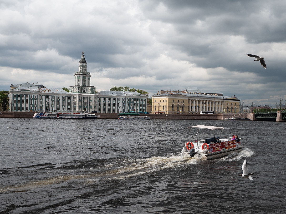 За семь минут и 100 рублей: как работает водяной дублер Биржевого моста -  KP.RU